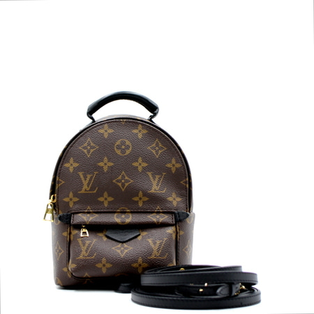Louis Vuitton(루이비통) M44873 모노그램 팜 스프링스 미니 백팩aa09474