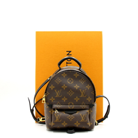 Louis Vuitton(루이비통) M44873 모노그램 팜 스프링스 미니 여성백팩aa11508